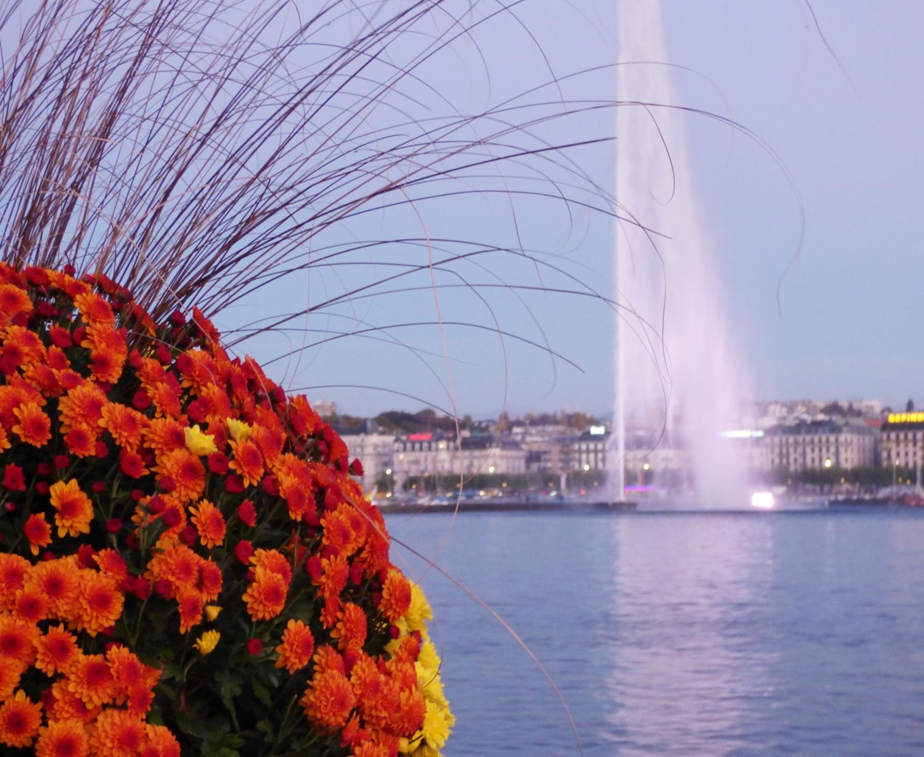 Aparthotel Fraser - Serviced Geneva